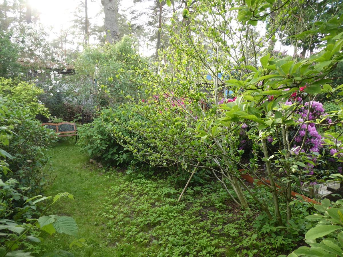 Samodzielny 2-dwupokojowy Z Ogrodem I Garazem * Międzyzdroje